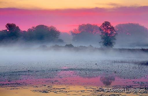 Foggy Rideau Canal_22684.jpg - Rideau Canal Waterway photographed near Smiths Falls, Ontario, Canada.